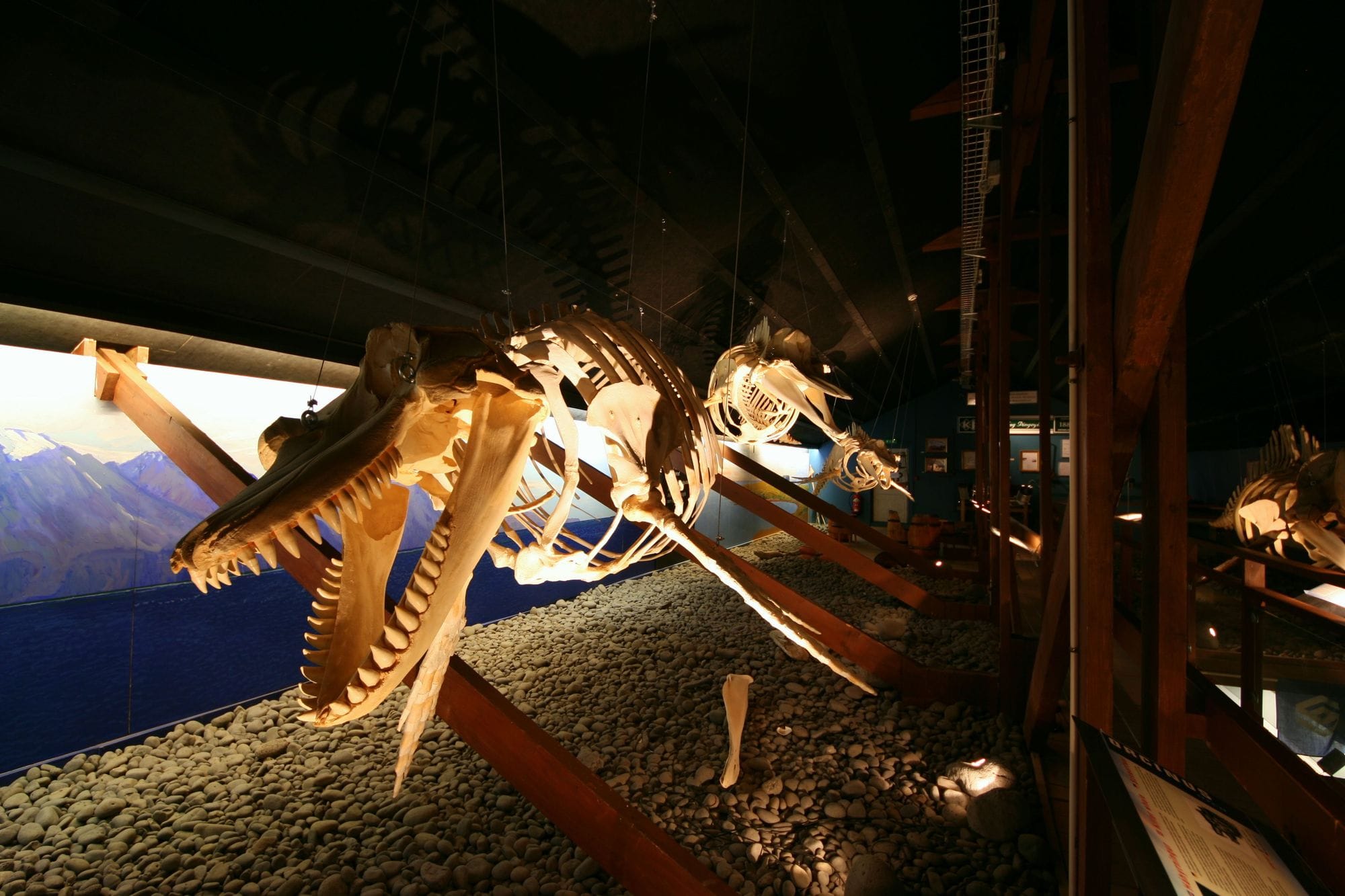 Husavik Whale Museum - Visit North